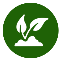 Seed Treatment