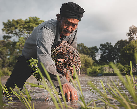 We Care About Our Agriculture Growth